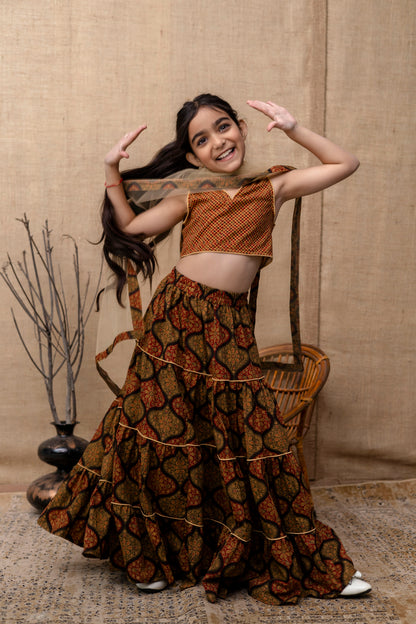 Baby Girls Printed Lehenga Choli Dupatta Set In Cotton
