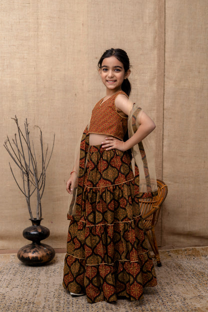 Baby Girls Printed Lehenga Choli Dupatta Set In Cotton