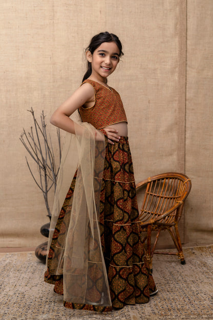 Baby Girls Printed Lehenga Choli Dupatta Set In Cotton