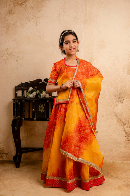 Baby Girls Bandhani Lehenga And Choli Set With Dupatta