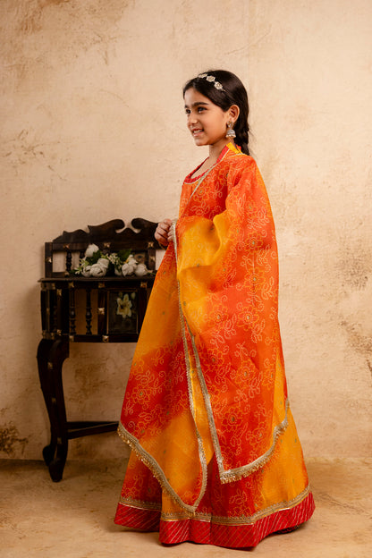 Baby Girls Bandhani Lehenga And Choli Set With Dupatta
