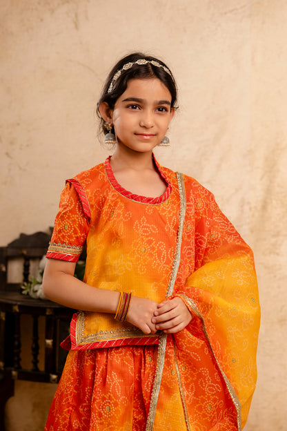 Baby Girls Bandhani Lehenga And Choli Set With Dupatta