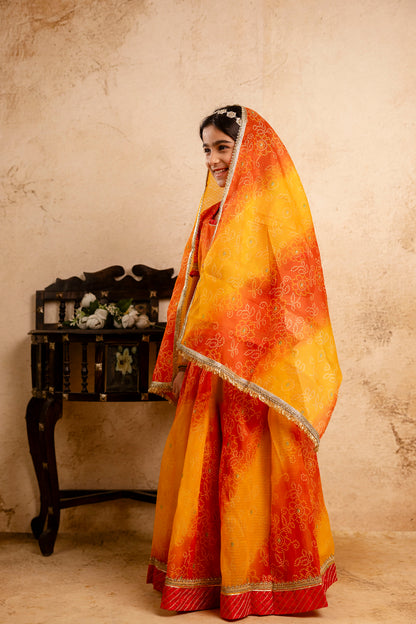 Baby Girls Bandhani Lehenga And Choli Set With Dupatta