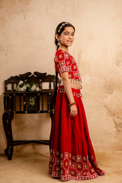 Girls Kids  Embroidered Lehenga and Choli Set