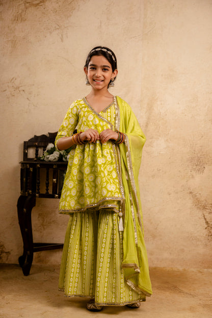 Girls Anarkali Kurta and Sharara With Dupatta Set