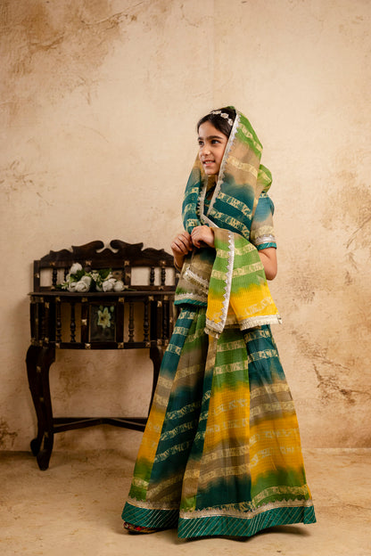 Girls Bandhani Lehenga And Choli Set With Dupatta